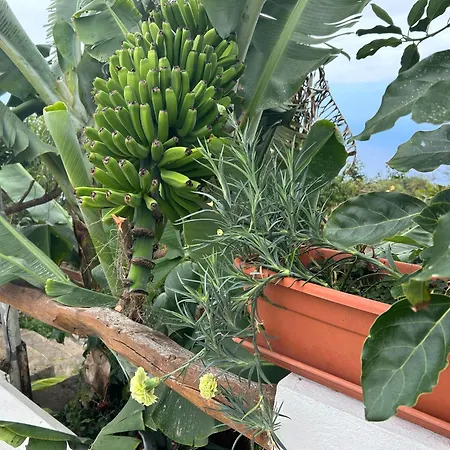 Casa vacanze Barros *