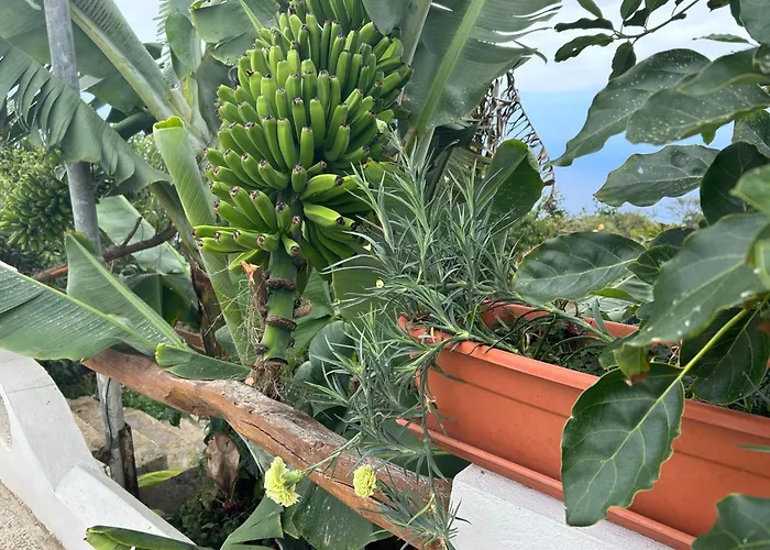 Hébergement de vacances Barros *